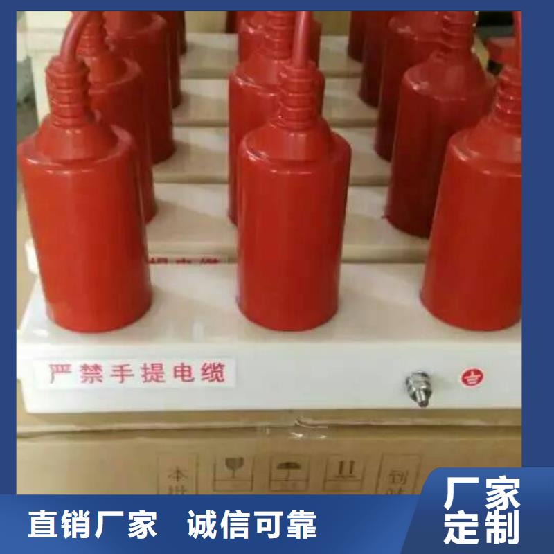 保护器(组合式避雷器)TBP-Y-C/35-F过电压保护器