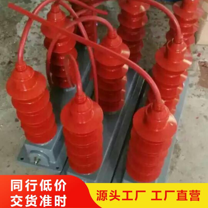 【羿振电气】过电压保护器BSTG-B-6.3-J