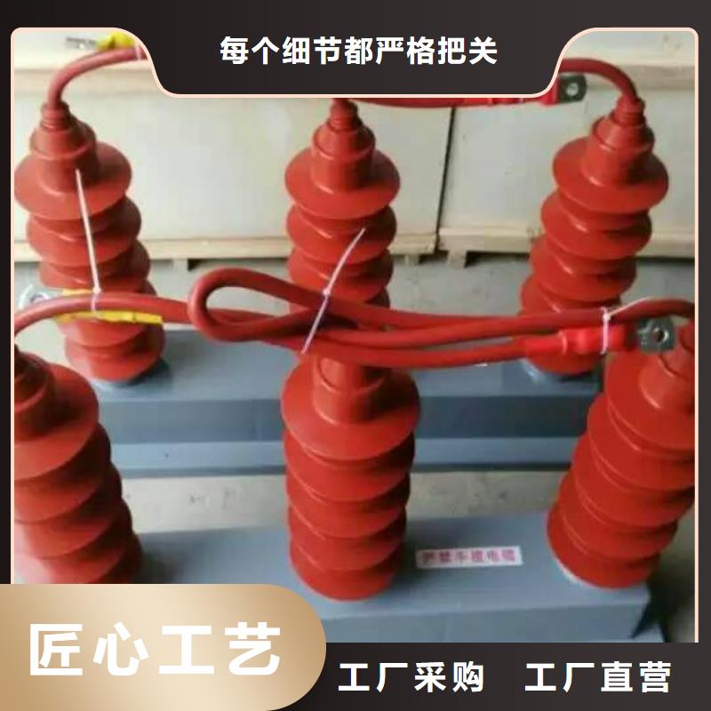 【羿振电气】过电压保护器(组合式避雷器)TGB-D-12.7/N