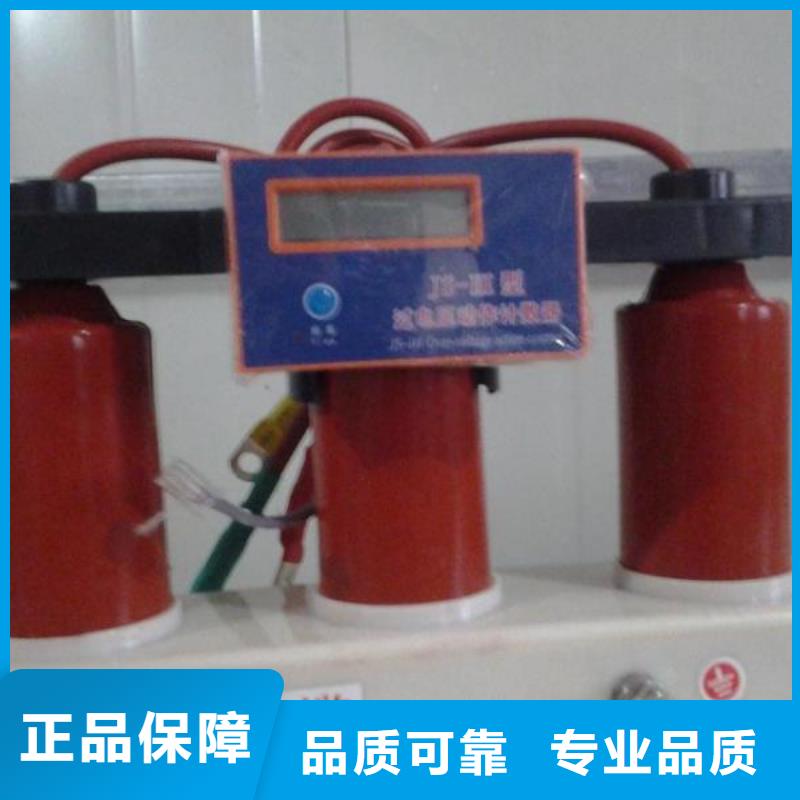 〖过电压保护器〗TBP-A-7.6F/85-J畅销全国