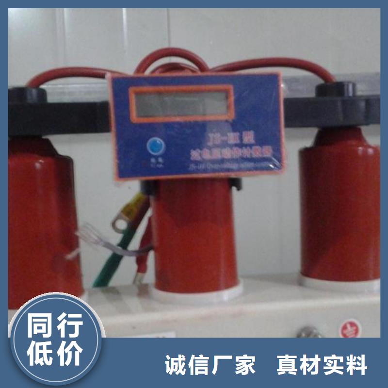 保护器(组合式避雷器)TBP-A-35/310