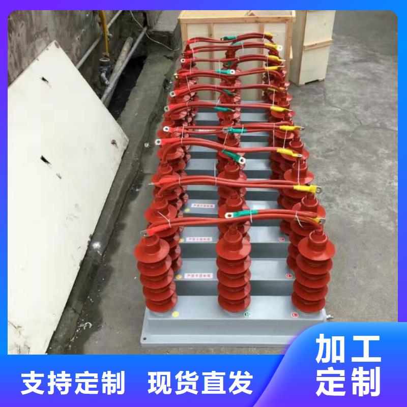 【羿振电气】保护器(组合式避雷器)ZHB-TBP1-A-6