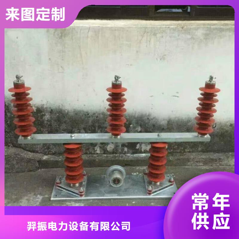 【羿振电力设备】过电压保护器(组合式避雷器)TBP-C-42/310