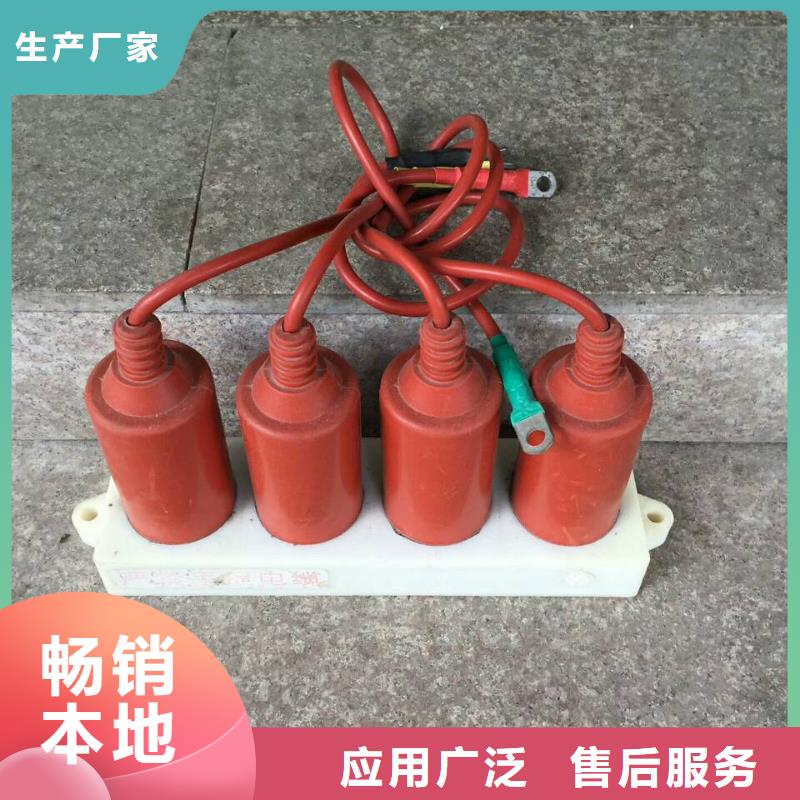 【羿振电力设备】过电压保护器TBP-A-42F/630W