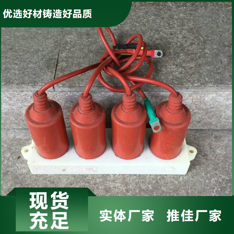 ＿保护器(组合式避雷器)TBP-C-35/200