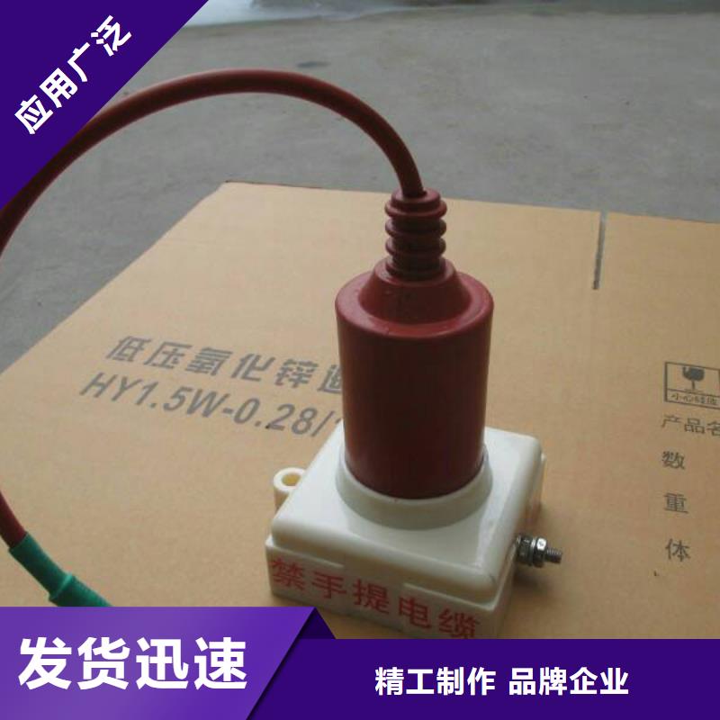 【羿振电气】保护器(组合式避雷器)ZHB-TBP1-A-6