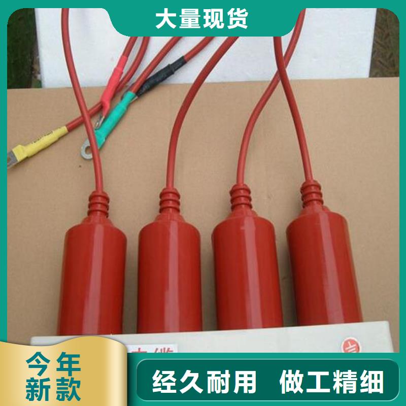 【组合式避雷器/过电压保护器】TBP-O-4.6F