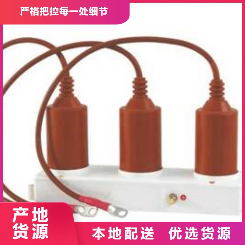 过电压保护器(组合式避雷器)TBP-B-42F/280-IM