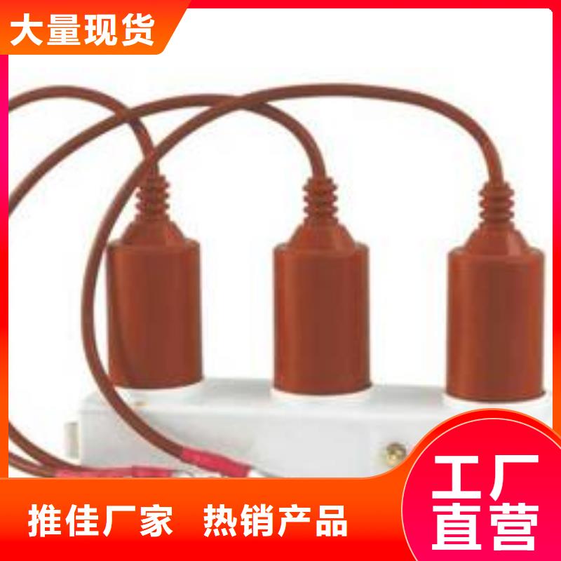 保护器(组合式避雷器)TBP-Y-C/35-F过电压保护器