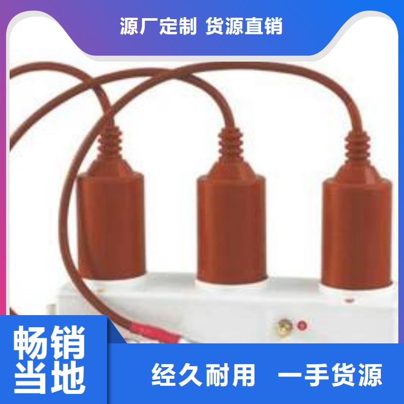 保护器(组合式避雷器)TBP-A-35/310