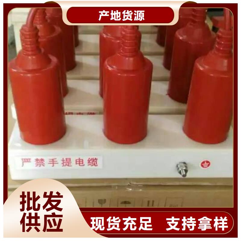 保护器(组合式避雷器)TBP-C-12.7F/150