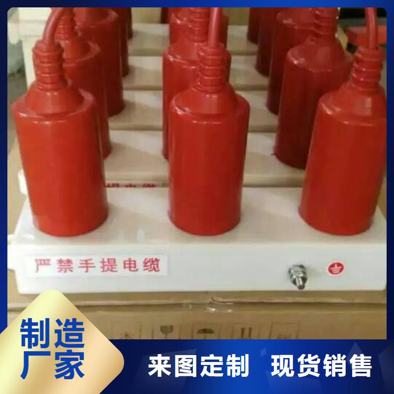 【羿振电气】过电压保护器(组合式避雷器)SCGB-B-12.7/85F