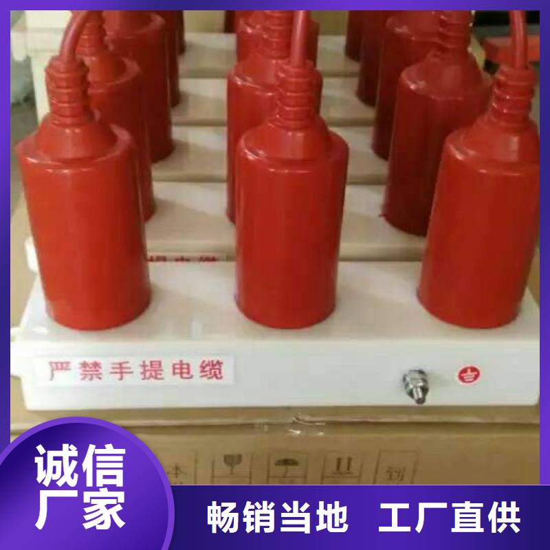 【避雷器】TBP-A-35/400W1