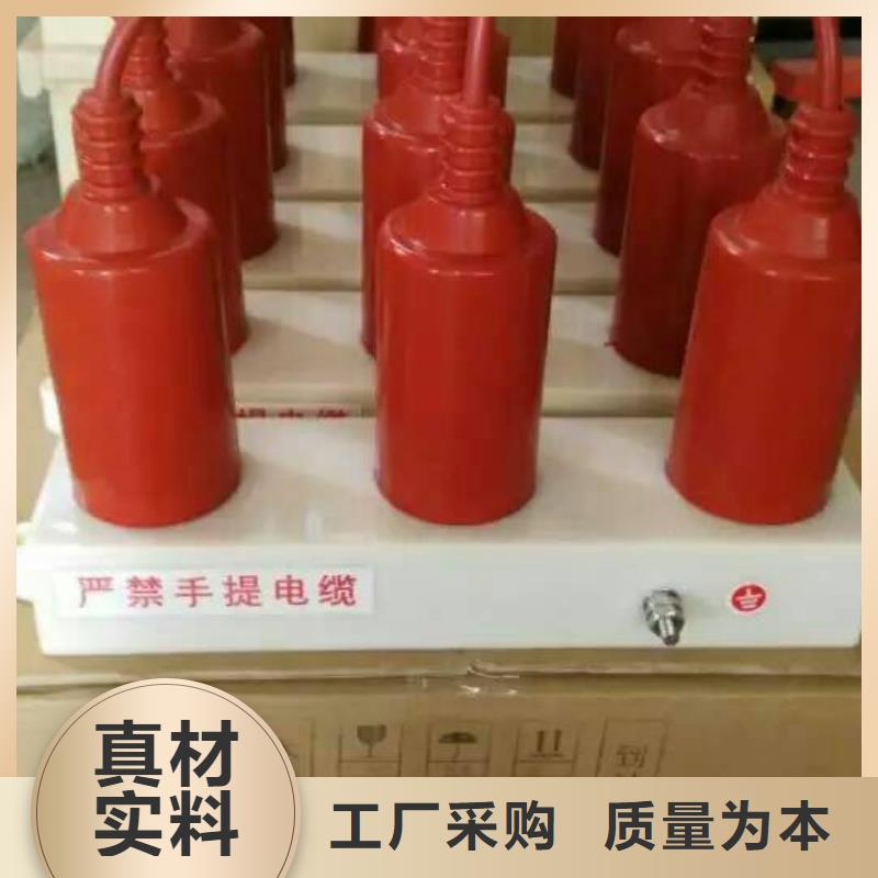 《过电压保护器》TBP-Y-B/3-F组合过电压保护器