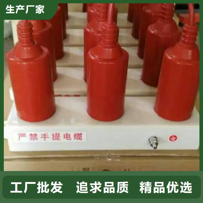 【避雷器/过电压保护器】TBP-C-35/200