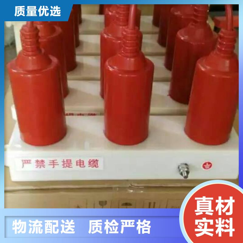 【羿振电力设备】过电压保护器TBP-A-42F/630W