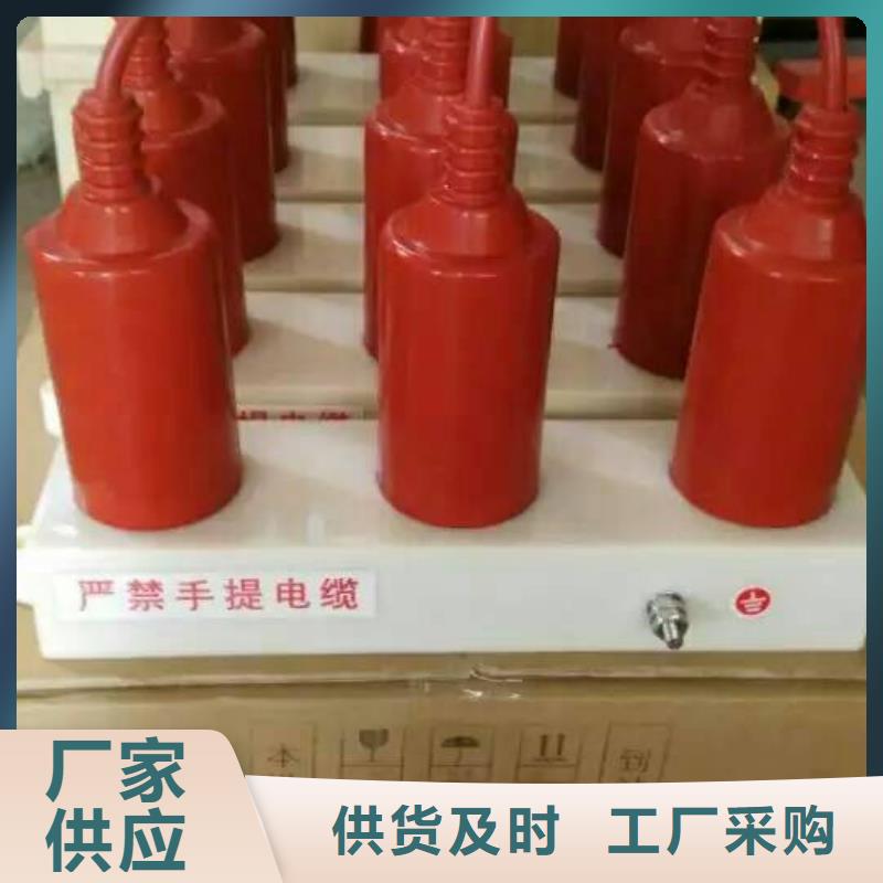 【过电压吸收装置】TBP-C-42F/280-J过电压保护器生产厂家