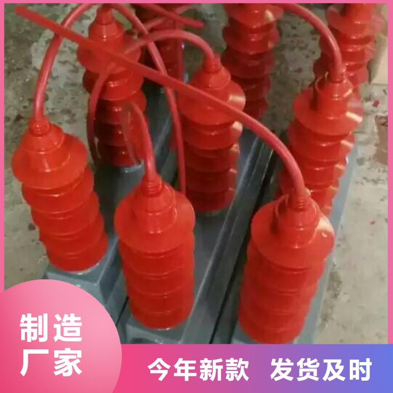 【避雷器】TBP-C-10.5/131-J