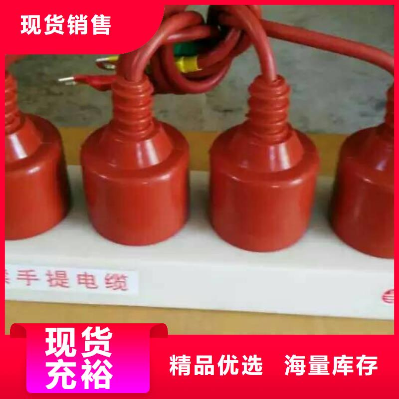 【过电压保护器】BSTG-C-42