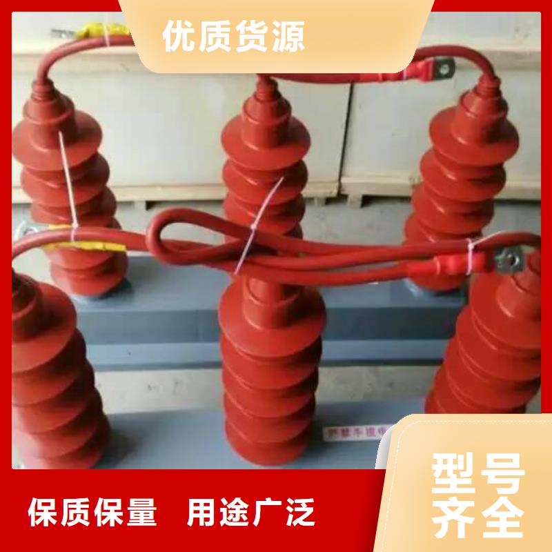 保护器(组合式避雷器)RSB-B/F-6.3