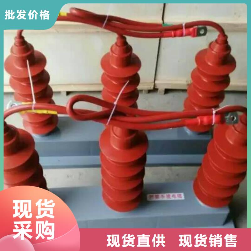 过电压保护器(组合式避雷器)YH5WZ-5/13.5*2