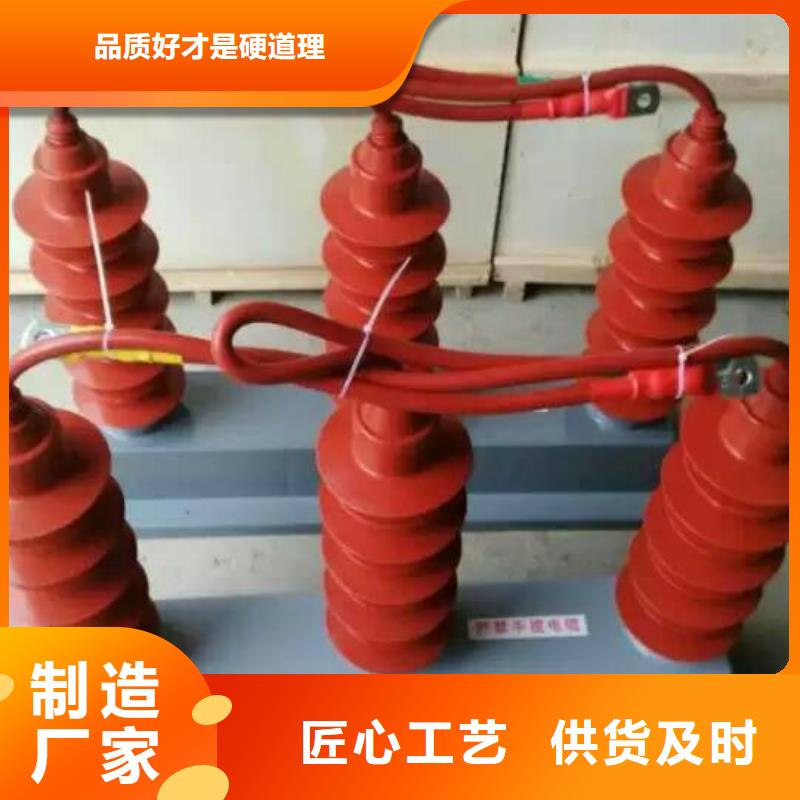 【羿振电气】过电压保护器(组合式避雷器)TGB-D-12.7/N