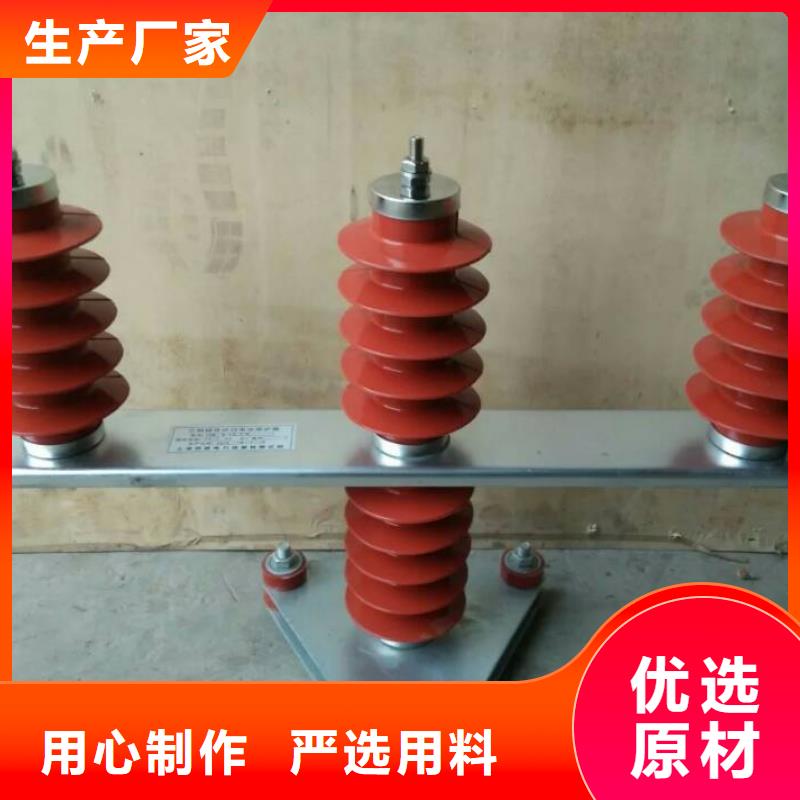 保护器(组合式避雷器)TBF-B-42F/630W2