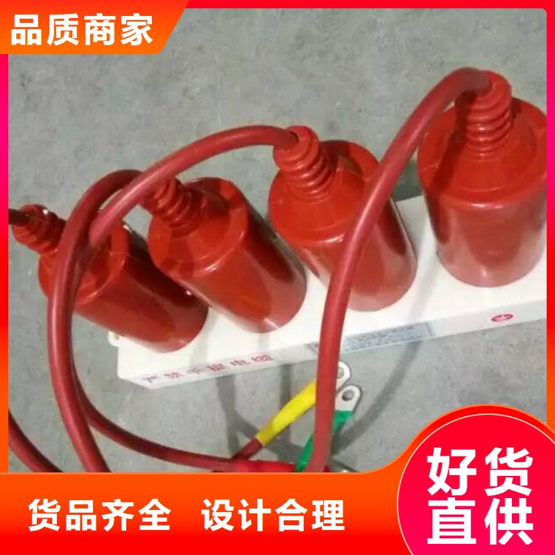 【组合式避雷器/过电压保护器】TBP-O-4.6F