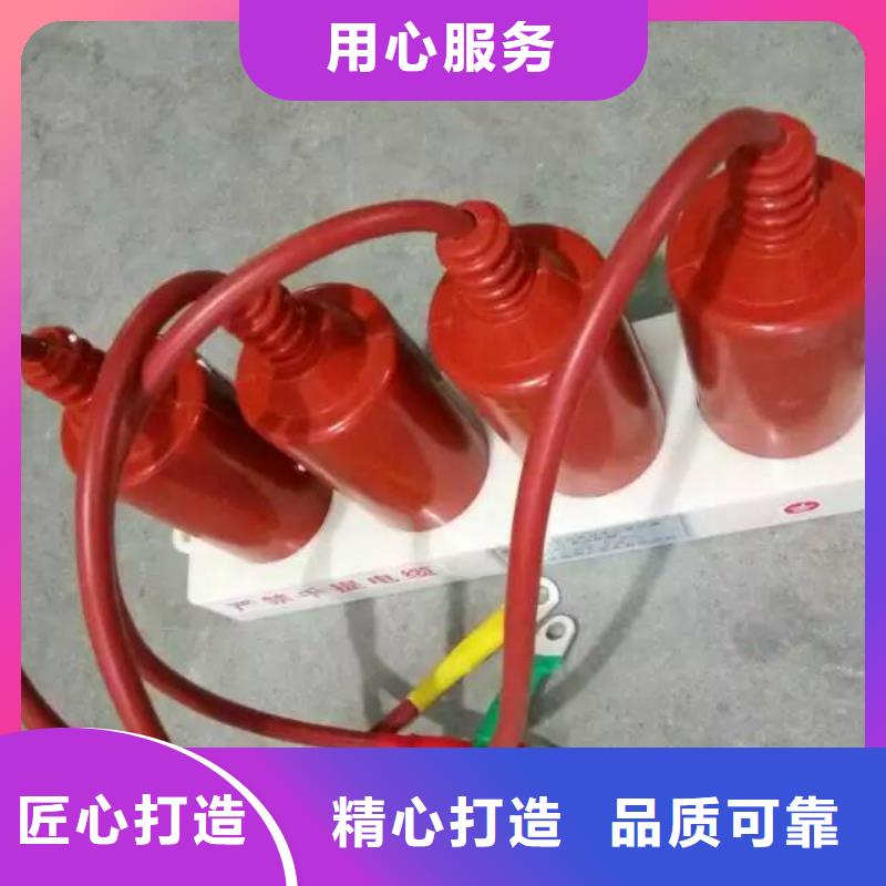 过电压保护器(组合式避雷器)YH5WZ-5/13.5*2