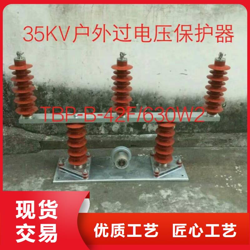 过电压保护器(组合式避雷器)BSTG-A-17-J