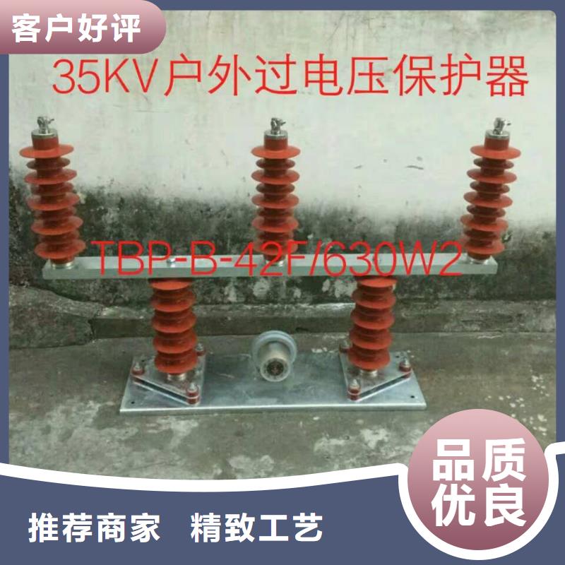 过电压保护器(组合式避雷器)TBP-B-42/400W1
