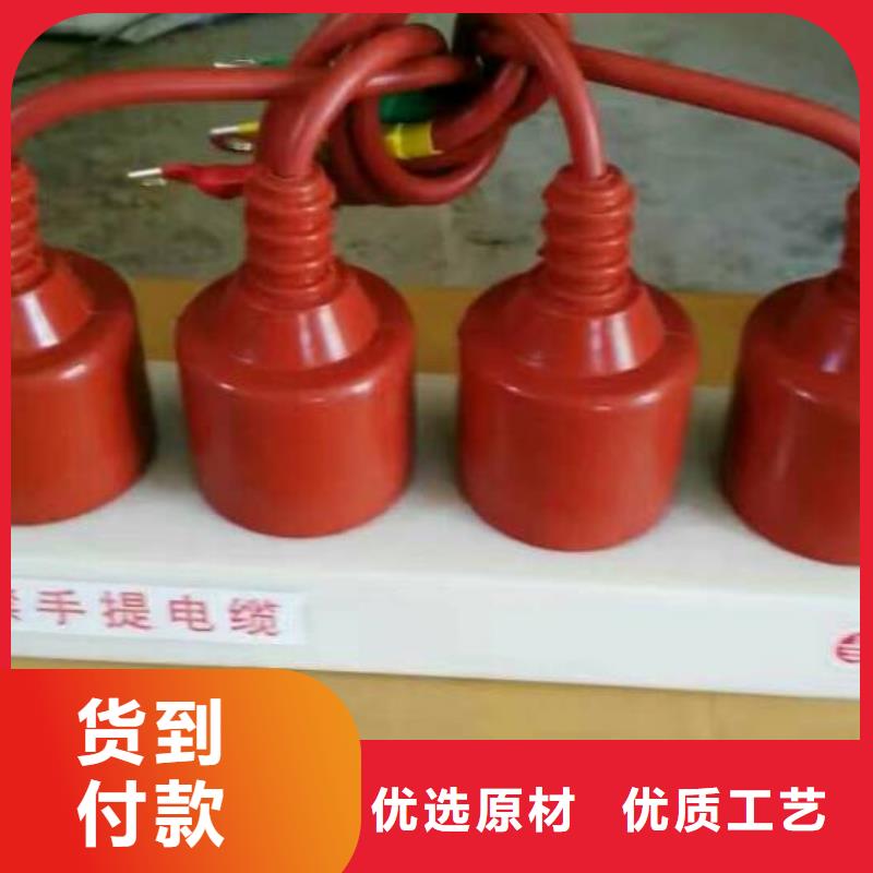 保护器(组合式避雷器)HTB-Z-7.6KV/85