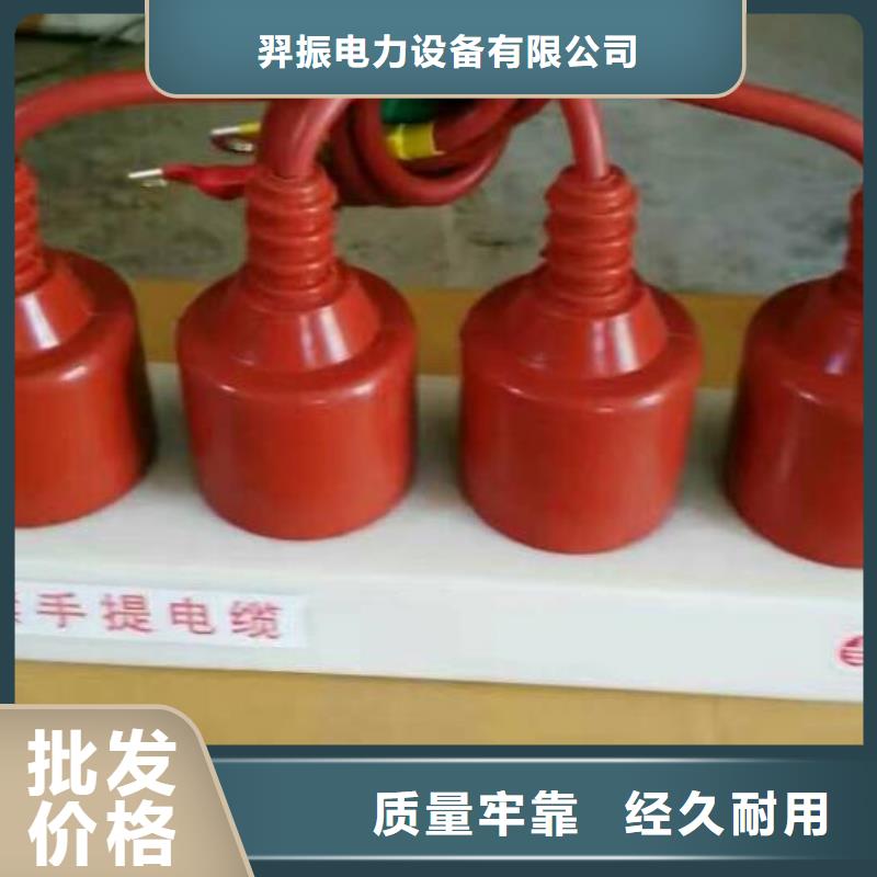 保护器(组合式避雷器)RSB-B/F-6.3