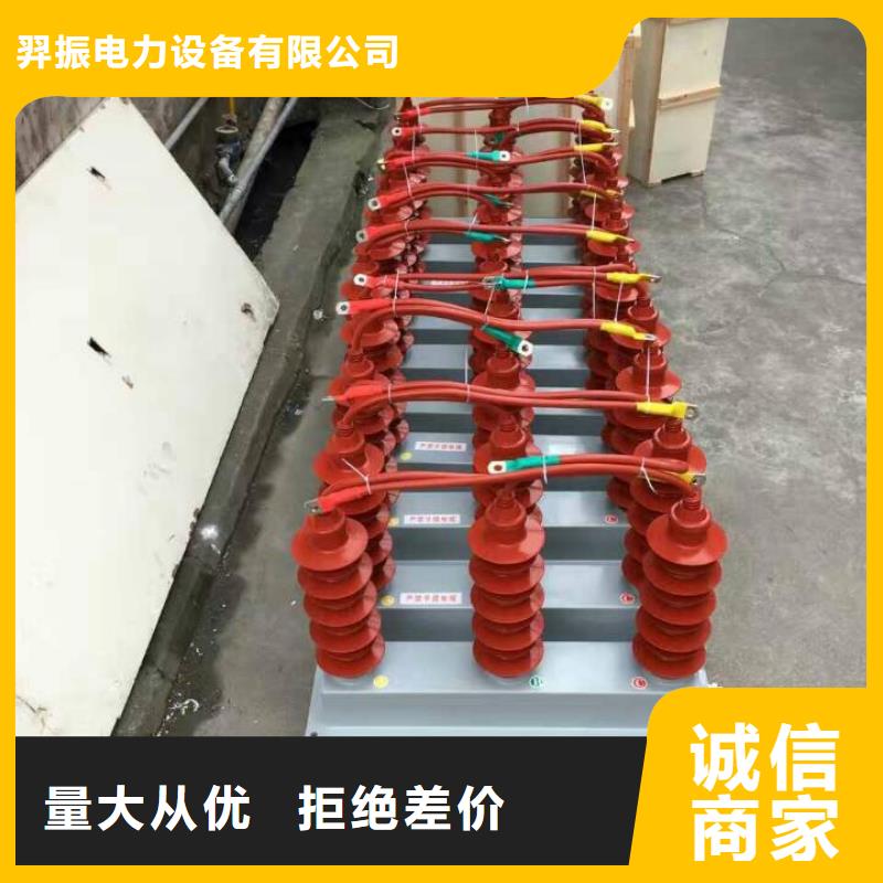 过电压保护器(组合式避雷器)YH2.5WD-13.5/38.7*13.5/31.0