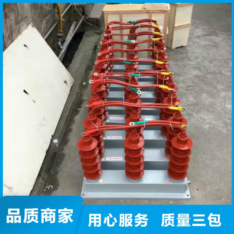 【羿振电气】过电压保护器(组合式避雷器)TGB-D-12.7/N