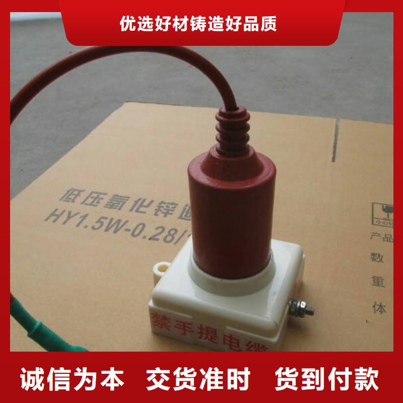〖过电压保护器〗SCGB-B-40.5-F产品介绍