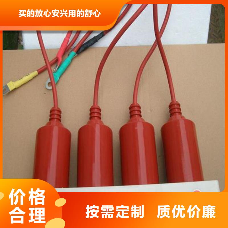 过电压保护器(组合式避雷器)TBP-O-7.6F