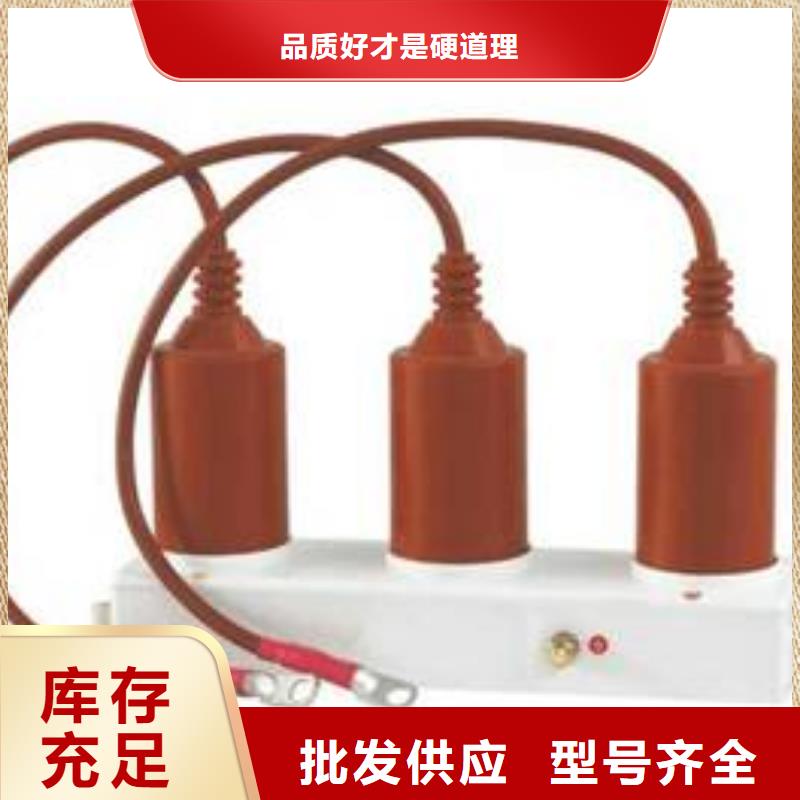 【避雷器】TBP-A-35/400W1
