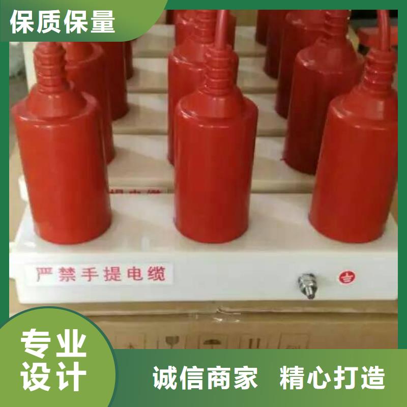 【羿振电气】过电压保护器(组合式避雷器)SCGB-B-12.7/85F