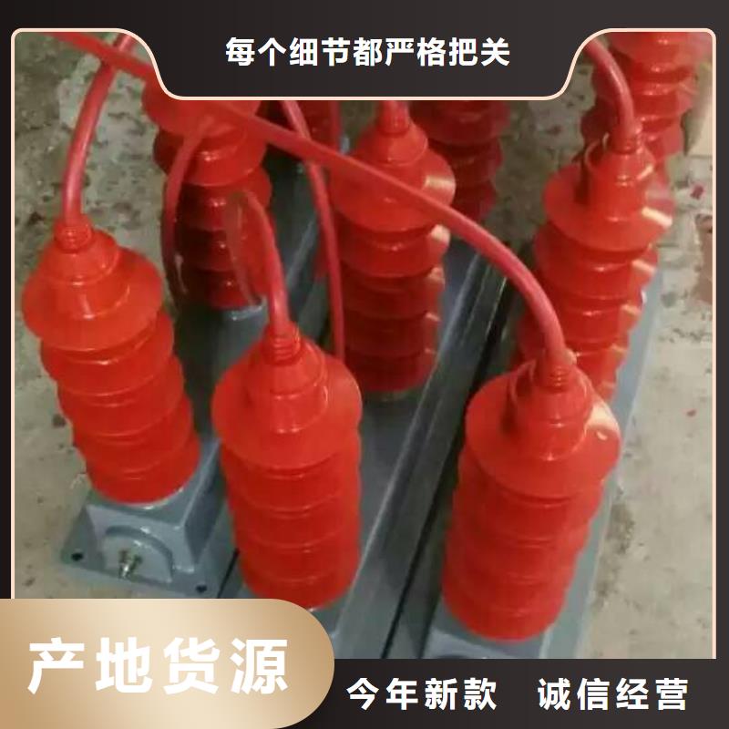 【羿振电力设备】过电压保护器TBP-A-42F/280-J