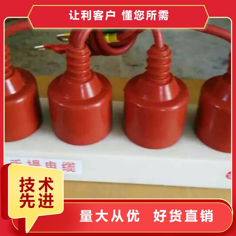 【羿振电气】过电压保护器(组合式避雷器)SCGB-B-12.7/85F