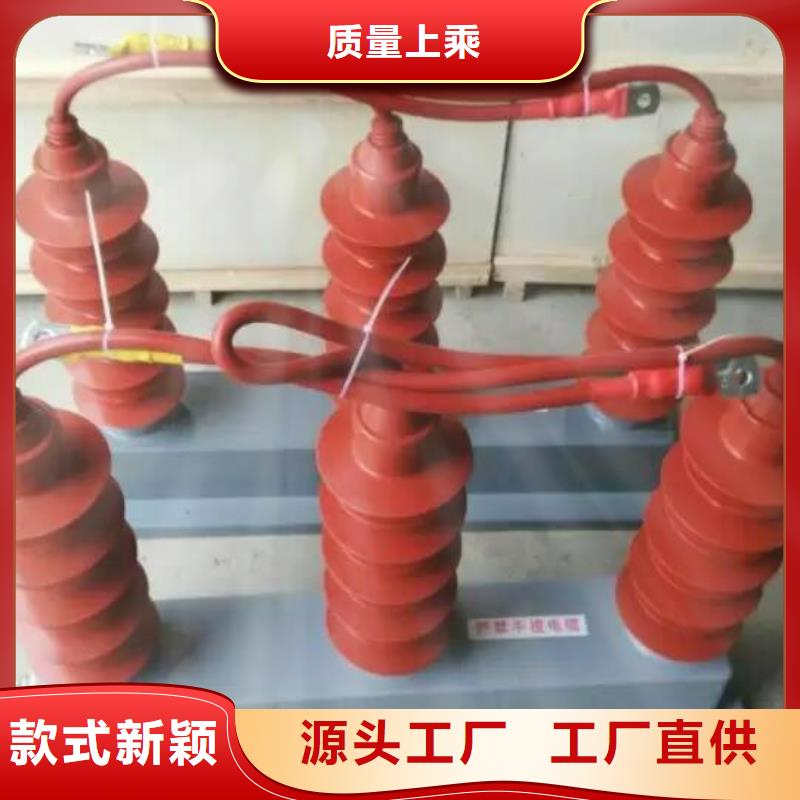 过电压保护器(组合式避雷器)TBP-A-7.6-F/120