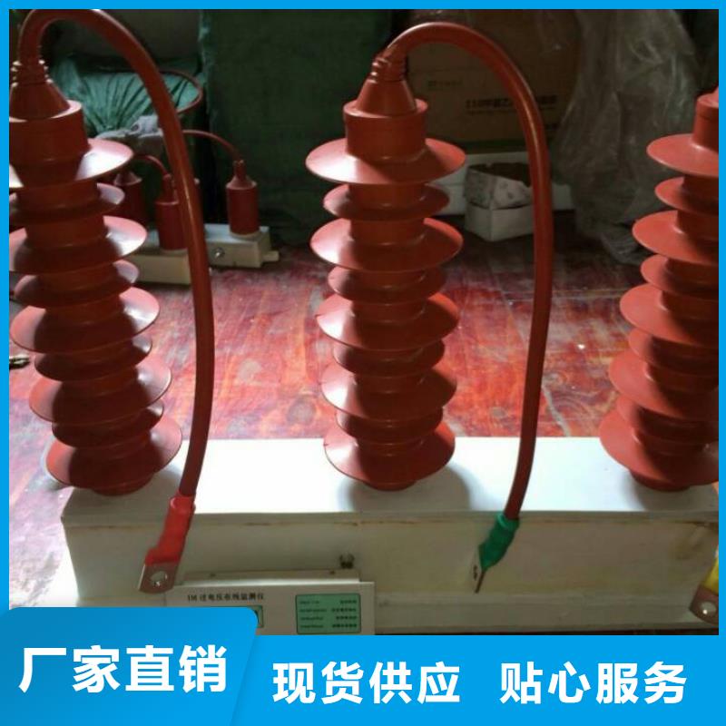 保护器(组合式避雷器)TBP-C-12.7F/150