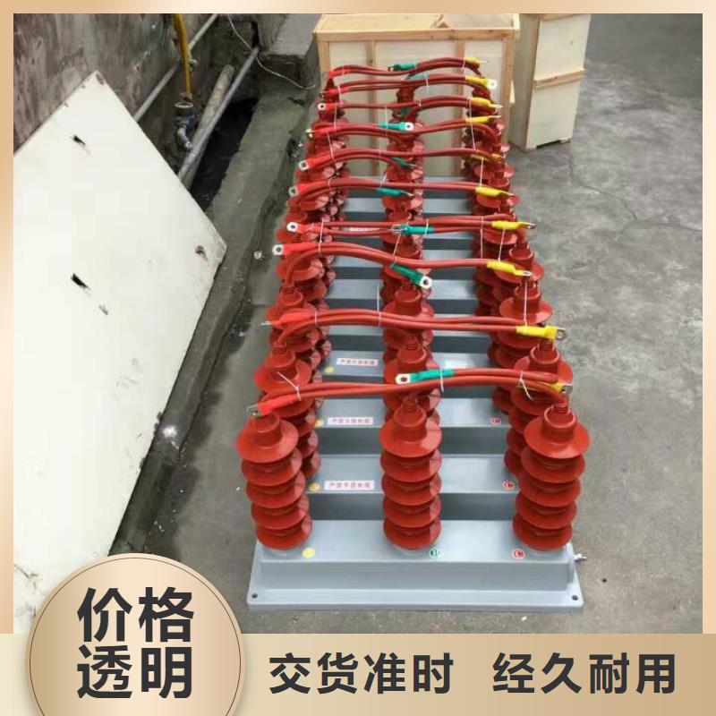 【羿振电力设备】过电压保护器TBP-A-42F/630W