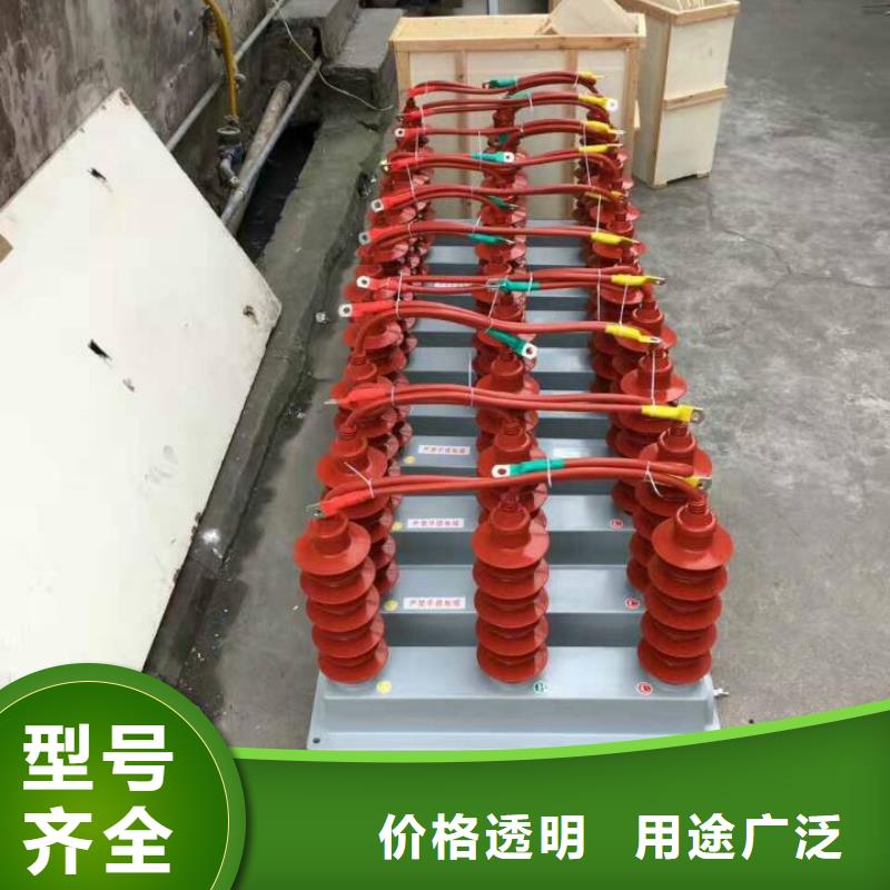 【组合式避雷器/过电压保护器】TBP-C-6.3/131