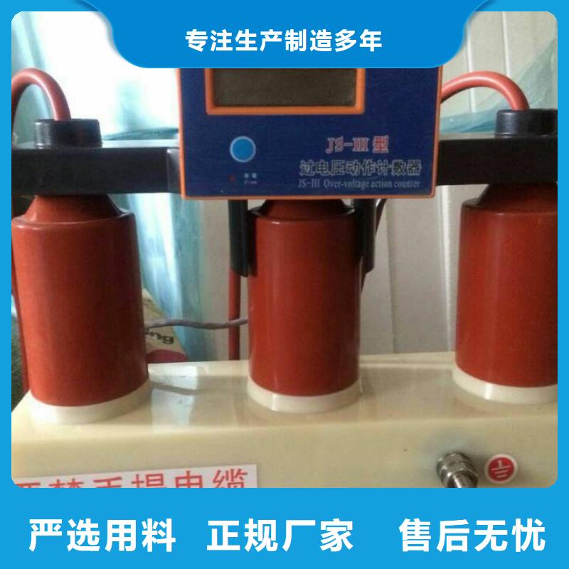 过电压保护器(组合式避雷器)TBP-C-7.6F/150