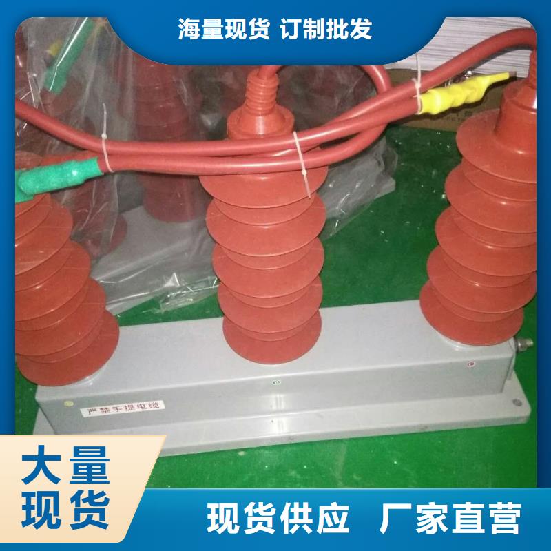 〖过电压保护器〗TBP-W-A/6-T组合过电压保护器欢迎咨询
