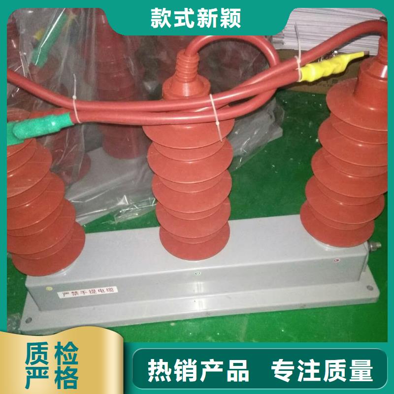 【组合式避雷器/过电压保护器】TBP-O-4.6F