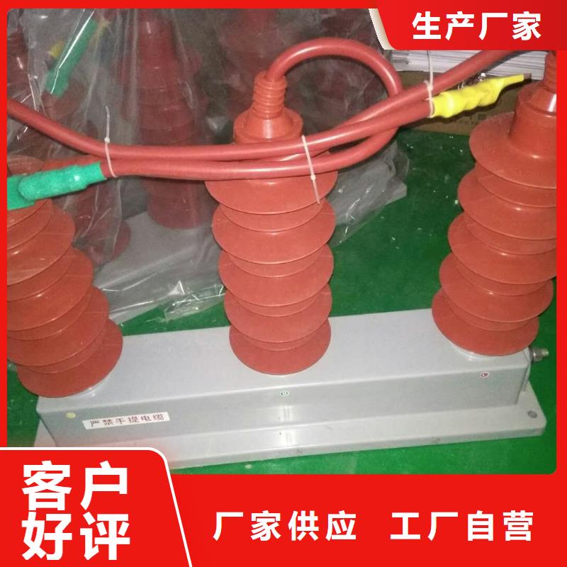 【羿振电气】过电压保护器(组合式避雷器)TGB-D-12.7/N