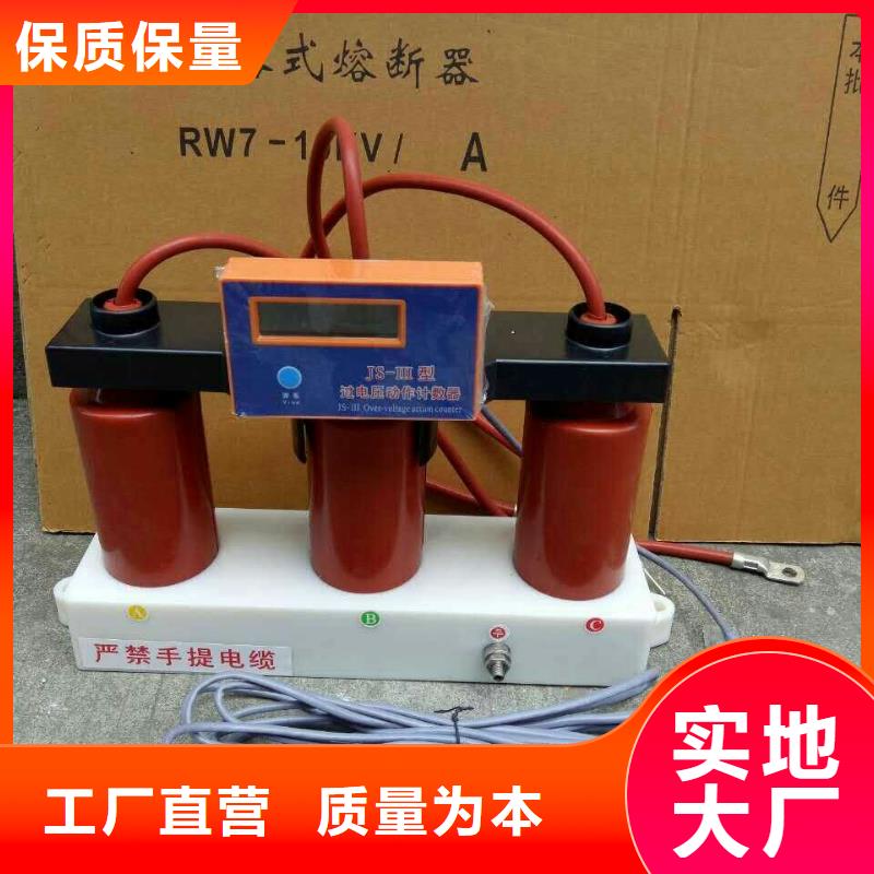 过电压保护器(组合式避雷器)BSTG-B-12.7/131